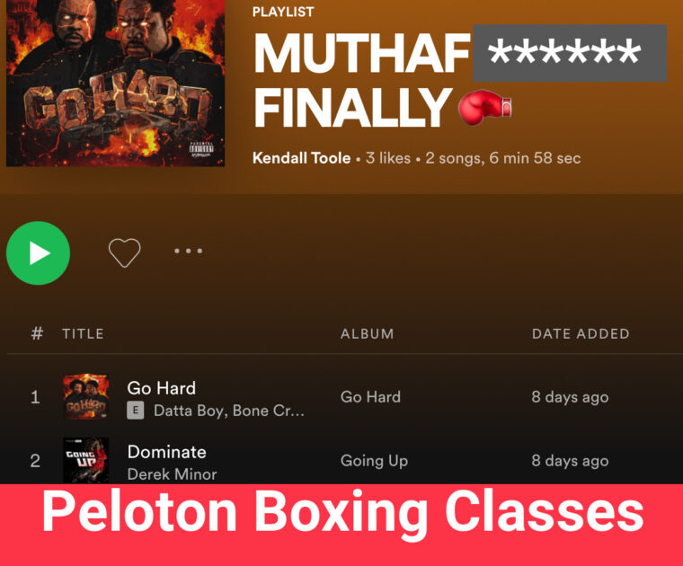 Screenshot of the new public Spotify playlist on Kendall's account [title lightly edited for language]