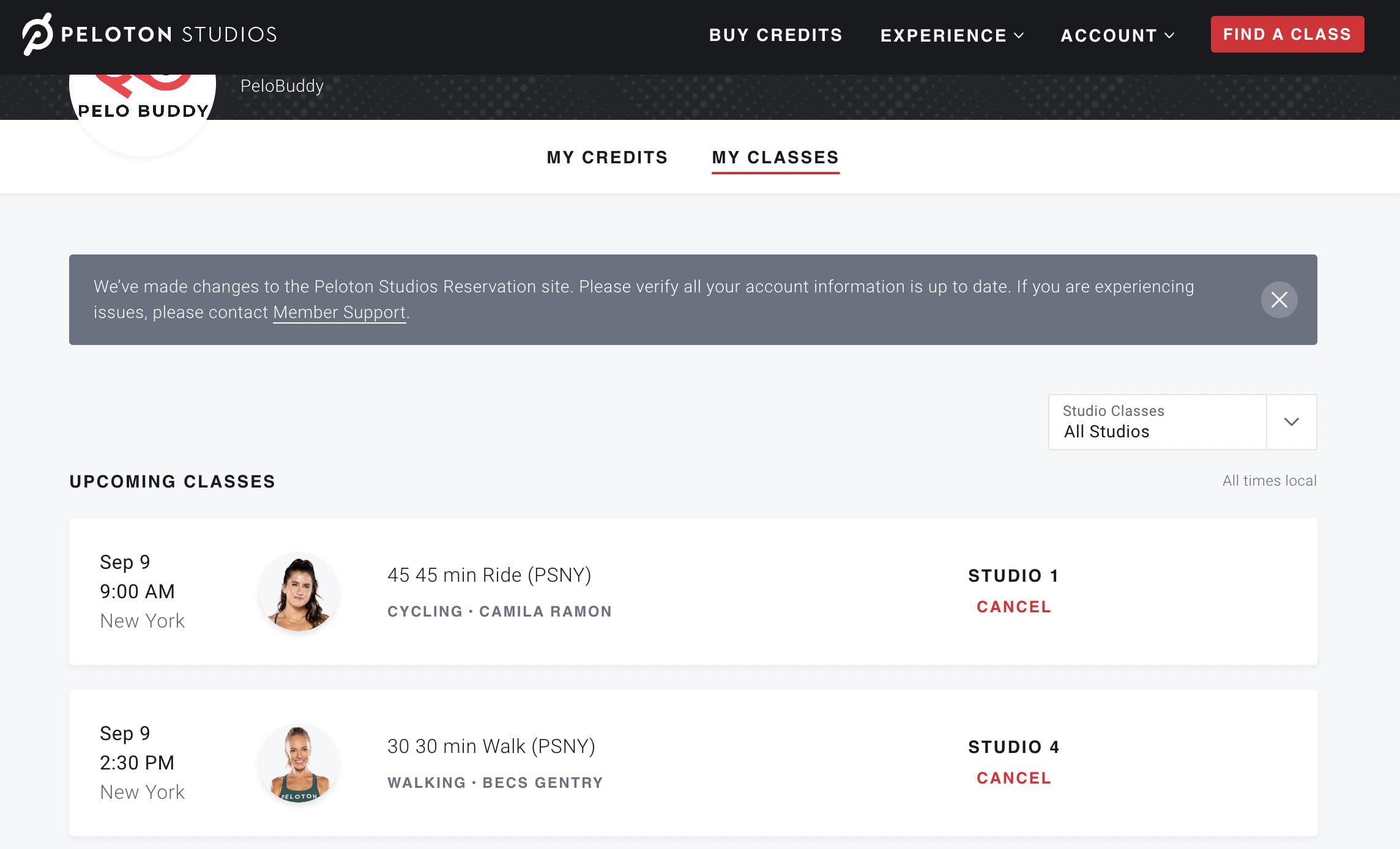 Account page showing upcoming bookings.