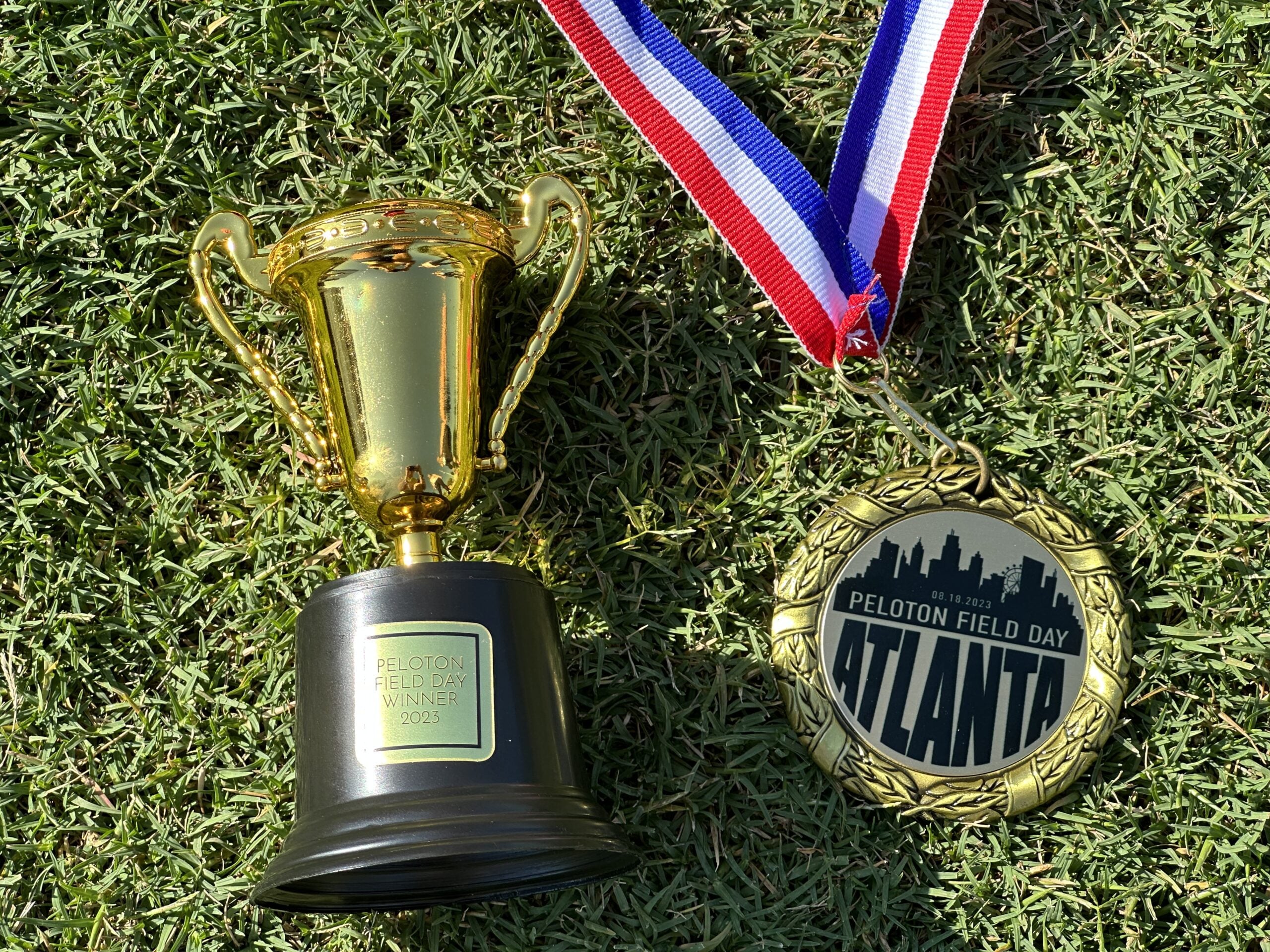 Items given to the winning field day team.