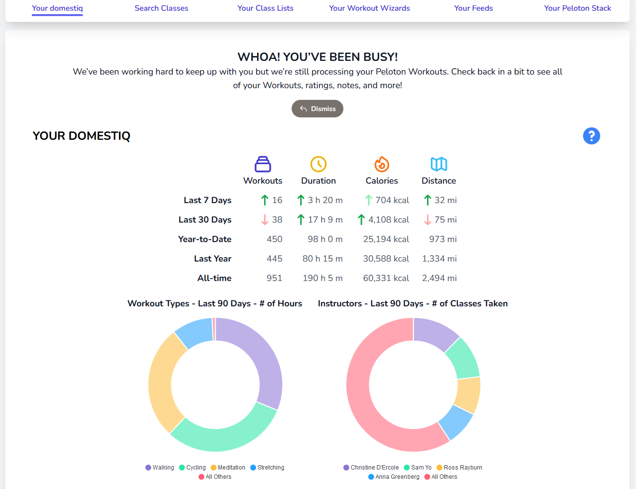 “Your domestiq” stats page