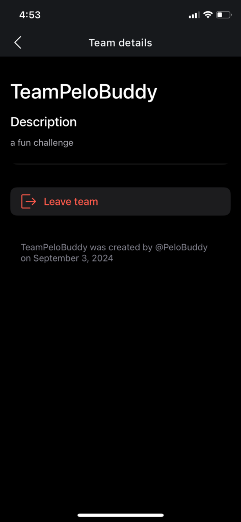 As team member, view of team settings, details, and option to leave team