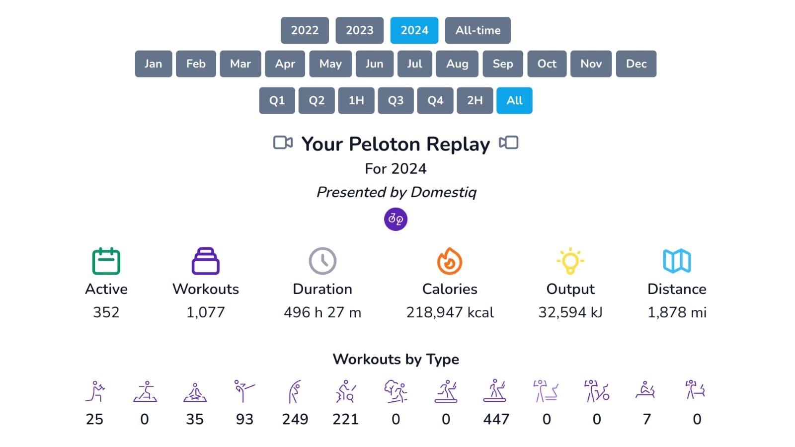 Domestiq Replay tool showing overall 2024 statistics.