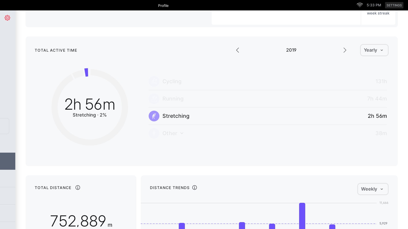 Total active time in stretching during the year on hardware devices.