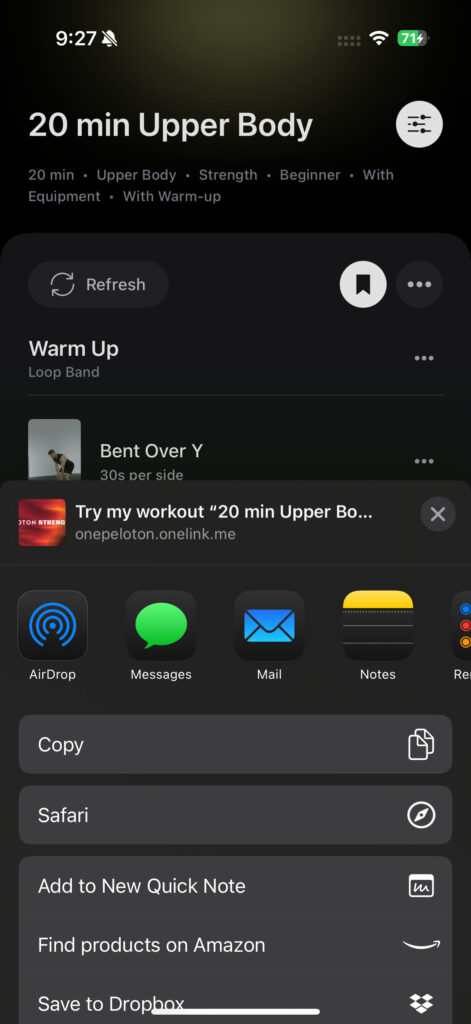 Menu options after clicking "share workout"