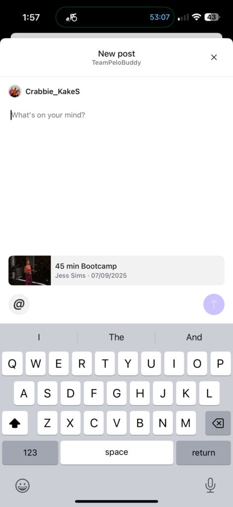 Comment box once Team is selected.