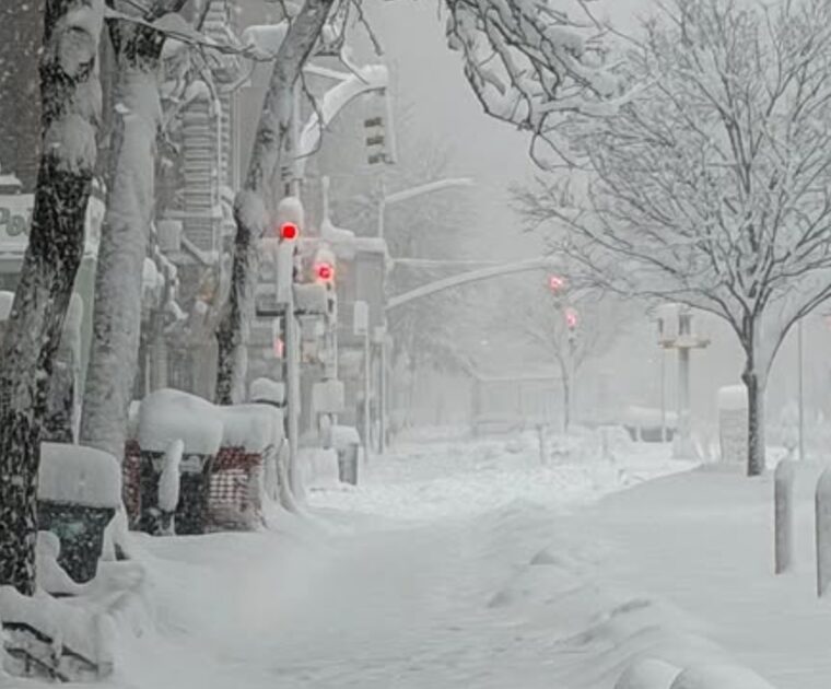 Snow in New York City