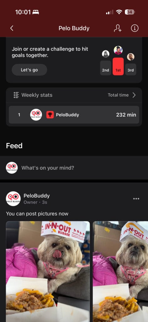 Posted photos within Peloton Teams feature