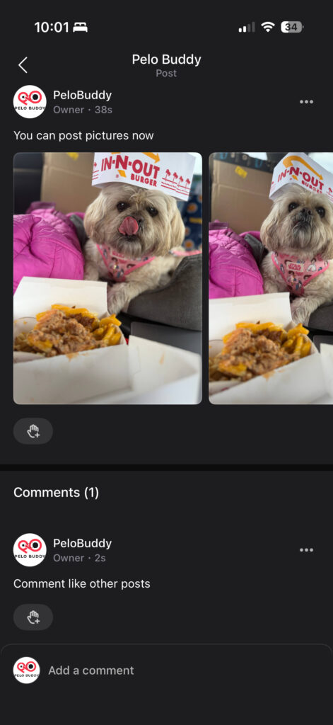 Comments and likes on photos post within Peloton Teams feature