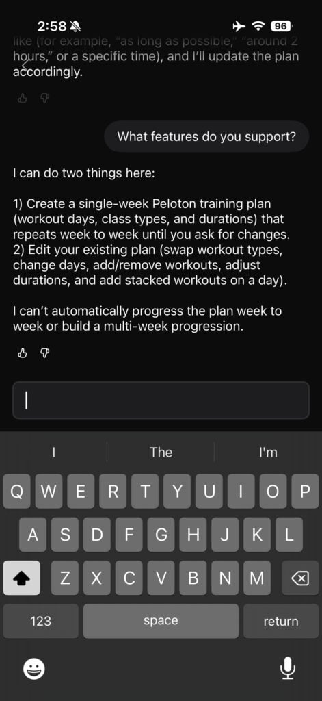 The chatbot describing what it can and cannot do.