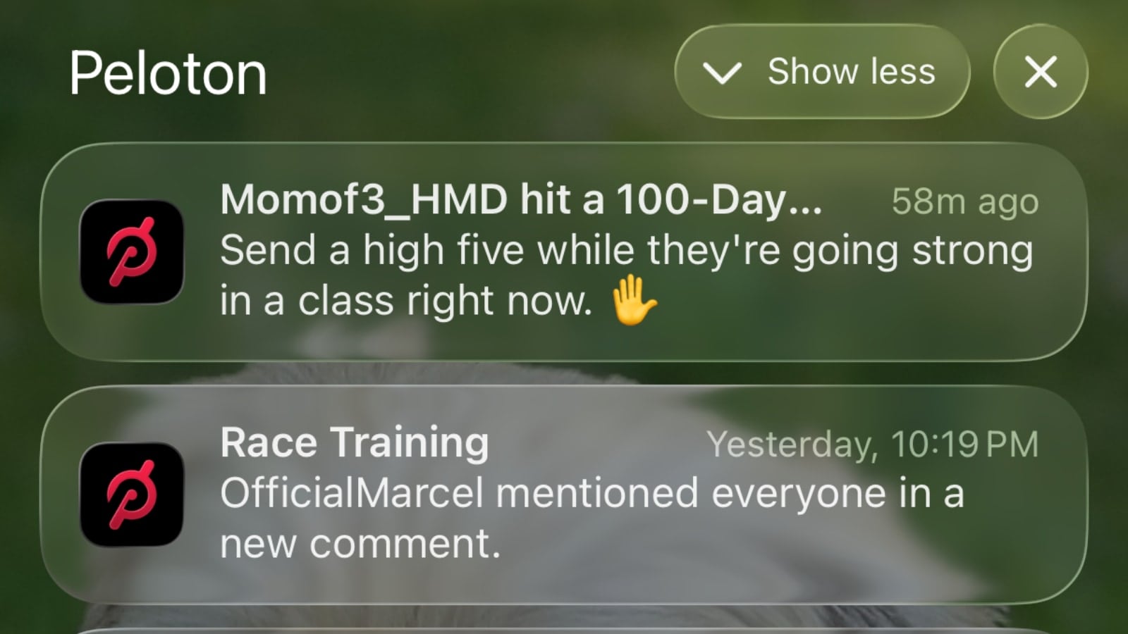 Push notification in the Peloton app telling someone to use the app to give a high five to someone in class for their milestone