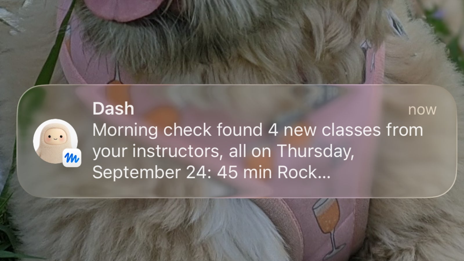 Muse alert about new Peloton classes added to the schedule